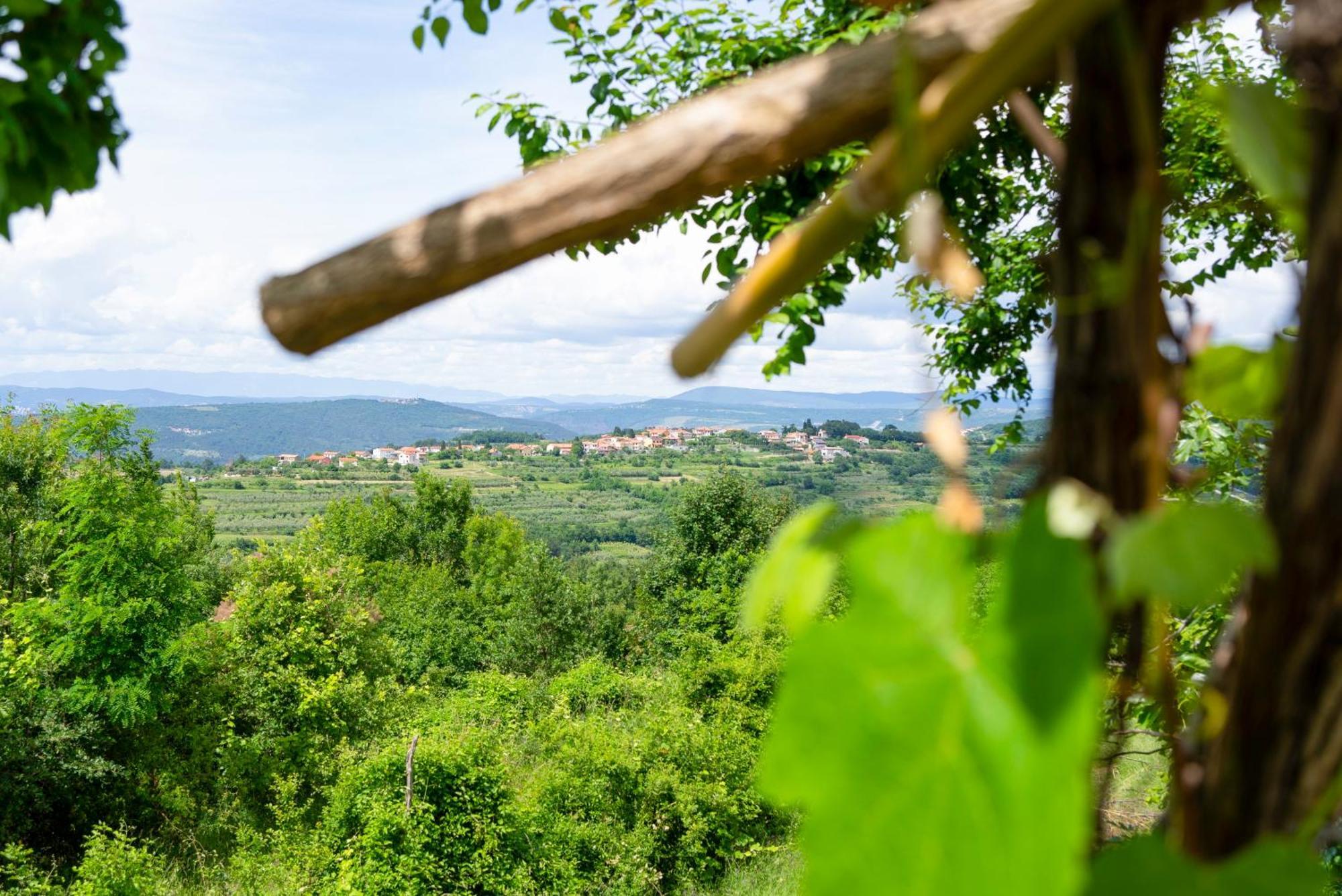 Guesthouse Green Istria Truske Exterior photo