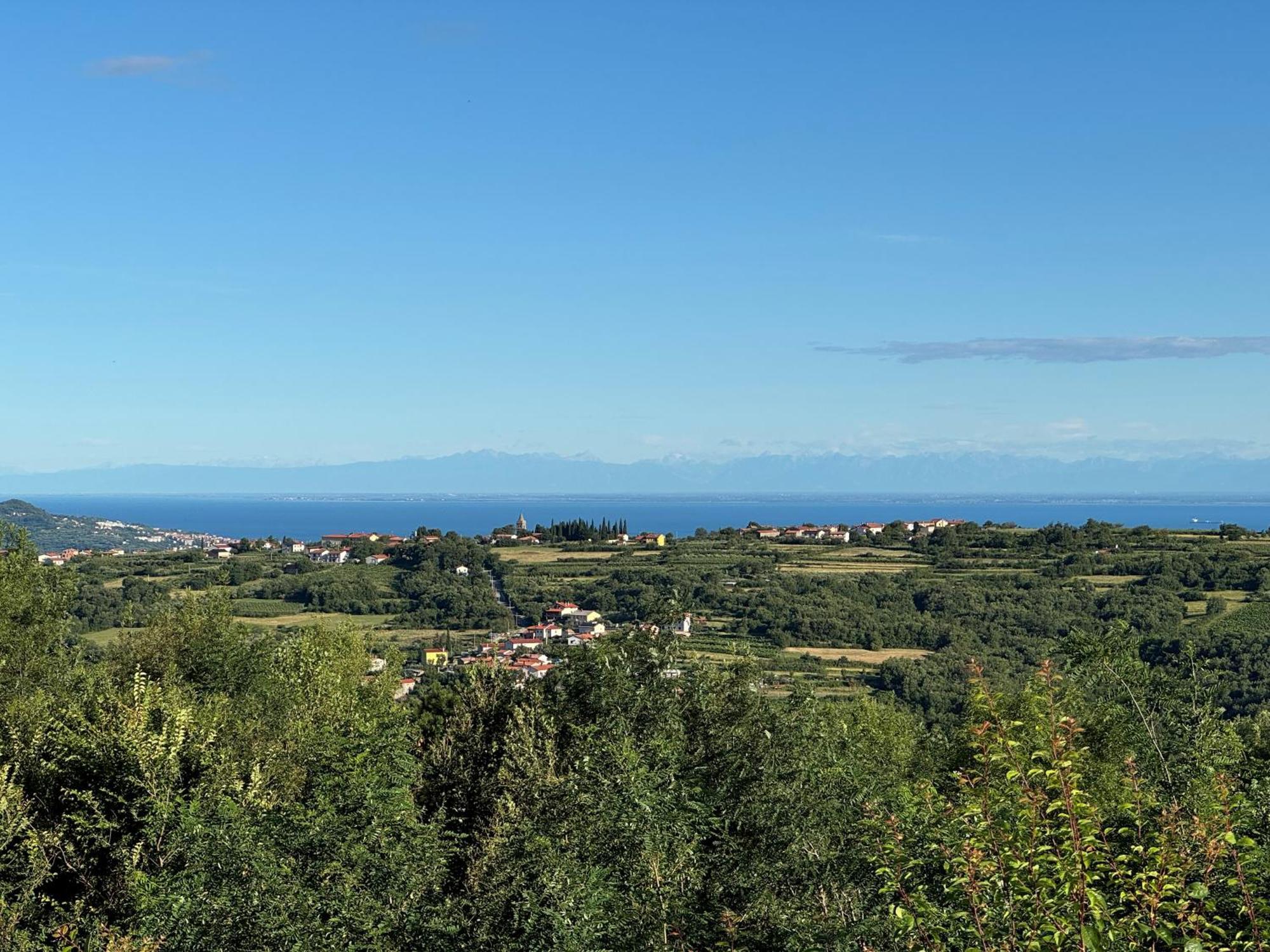 Guesthouse Green Istria Truske Exterior photo