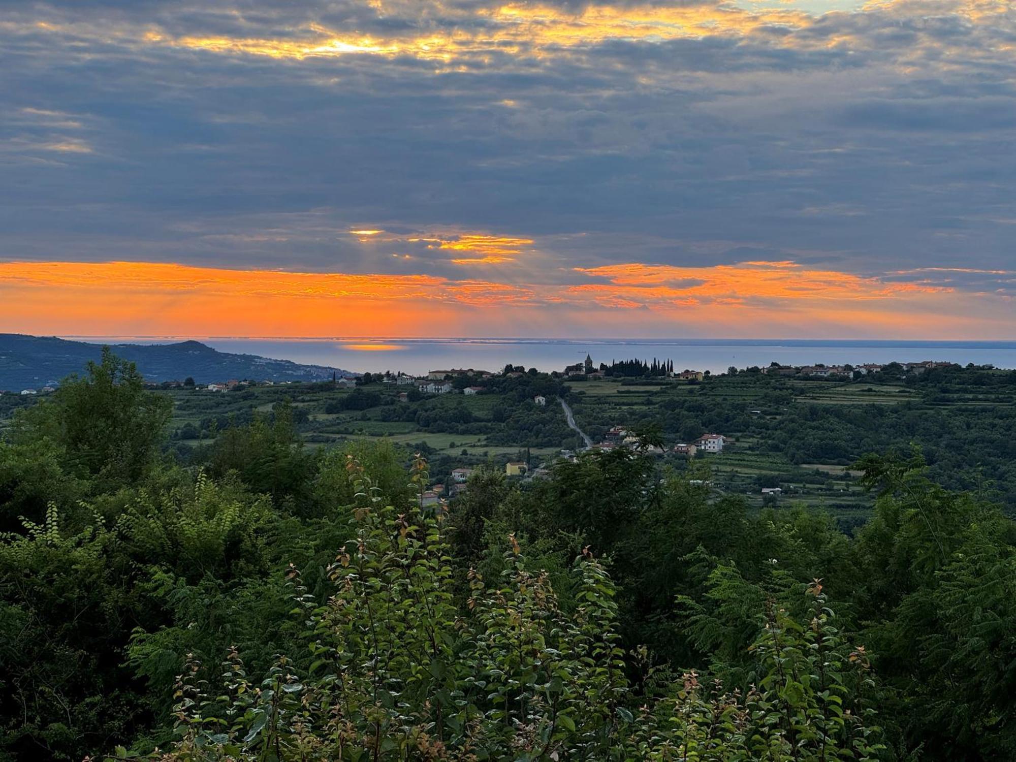 Guesthouse Green Istria Truske Exterior photo