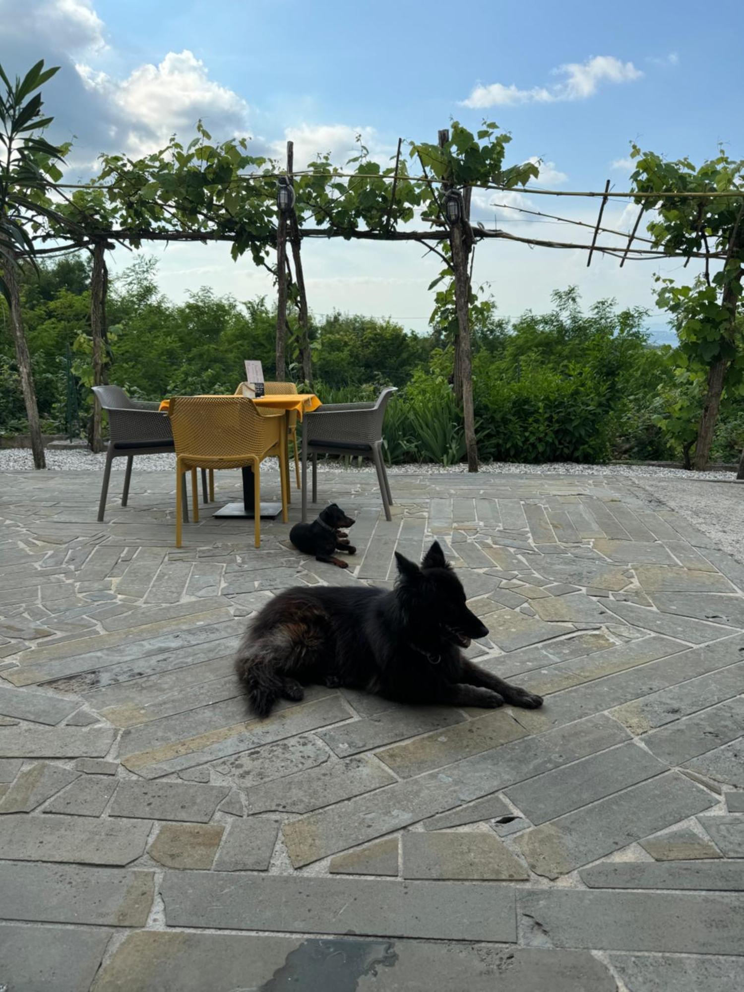 Guesthouse Green Istria Truske Exterior photo