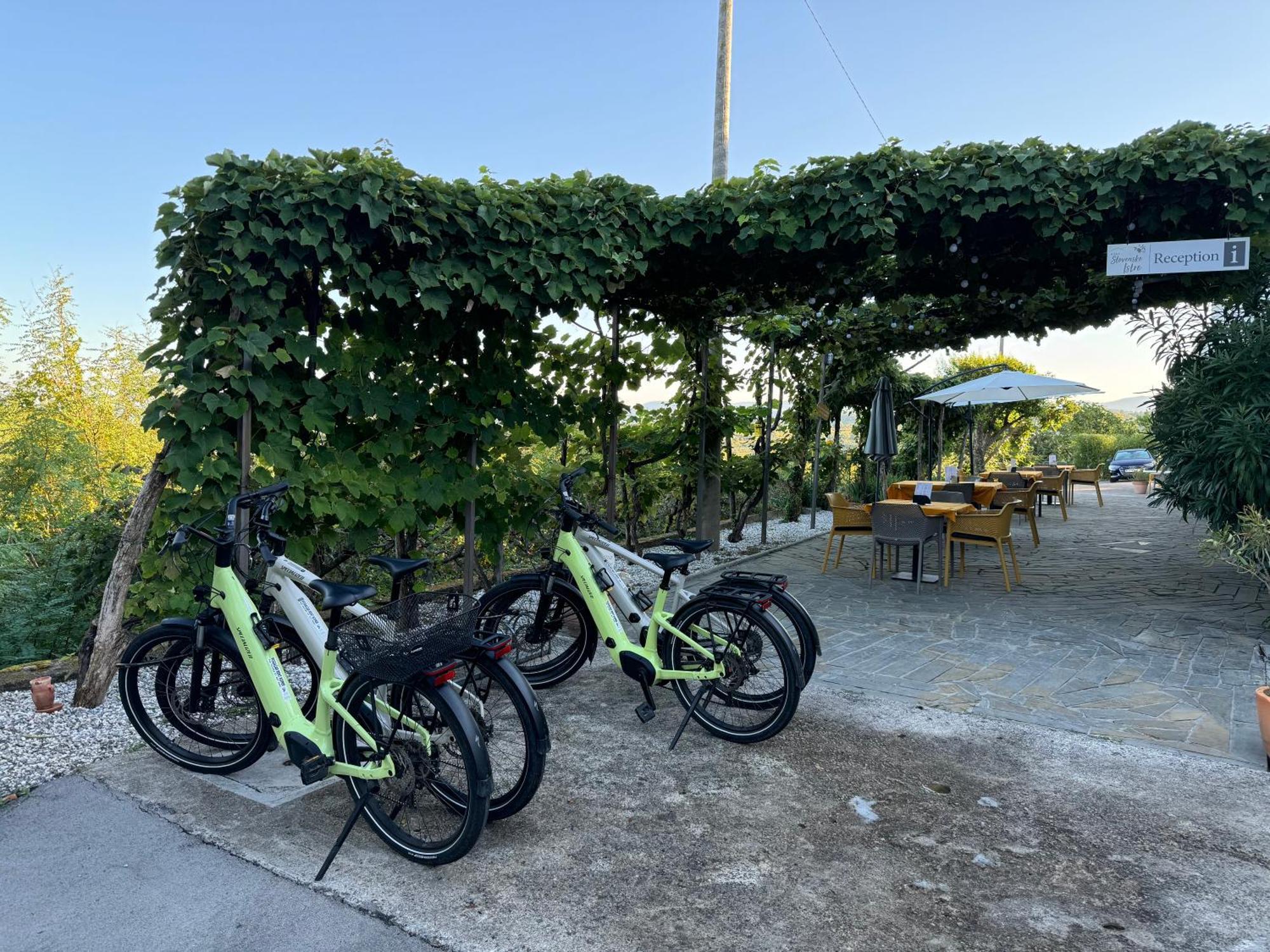 Guesthouse Green Istria Truske Exterior photo